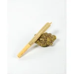White Widow 20% THCA Prerolls